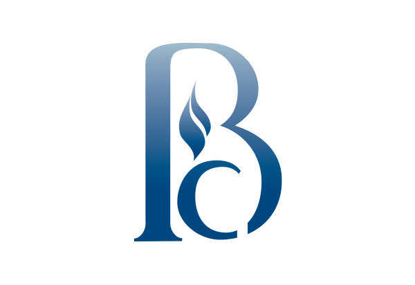 Financial company logo design - BlueChip